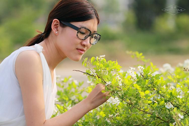 欧美日韩精品一区二区内容展示